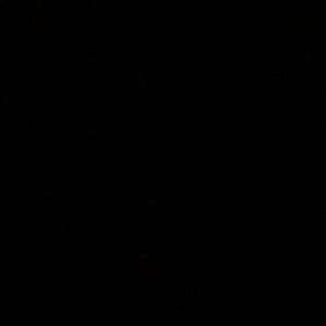 Meet your Posher, Chandler